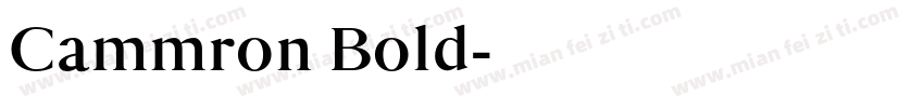 Cammron Bold字体转换